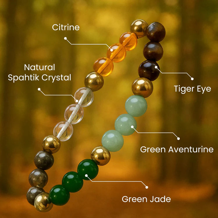 Money Magnet Bracelet – Attract Wealth, Prosperity & Abundance + Get a FREE Concentration Bracelet for Focus & Clarity