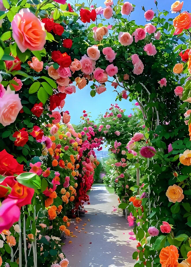 Imported Elegant Climbing Rose Flower Seeds With Free Plant Growth Suplement